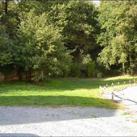 Demeure Du Castel Bed & Breakfast Les Chatelliers-Chateaumur Luaran gambar
