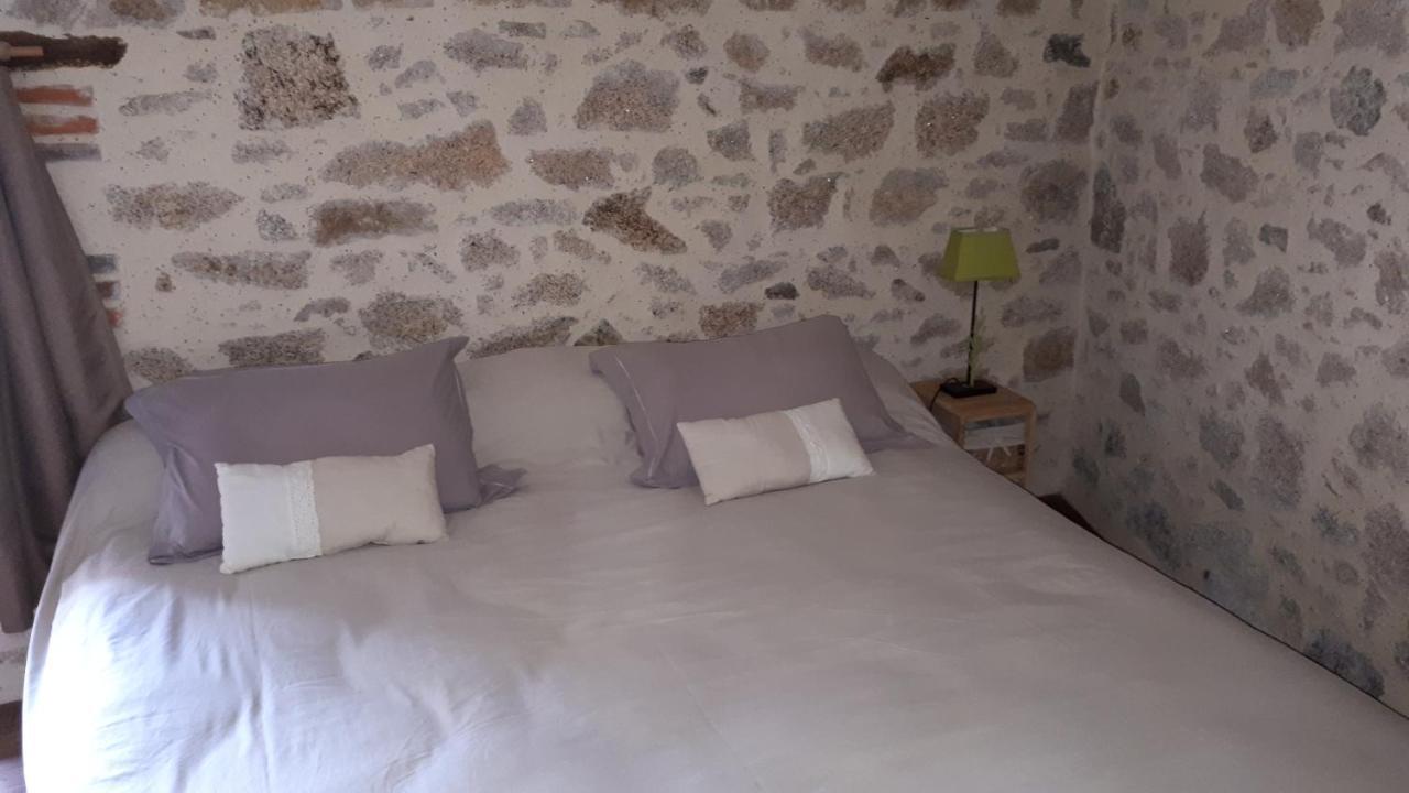Demeure Du Castel Bed & Breakfast Les Chatelliers-Chateaumur Luaran gambar