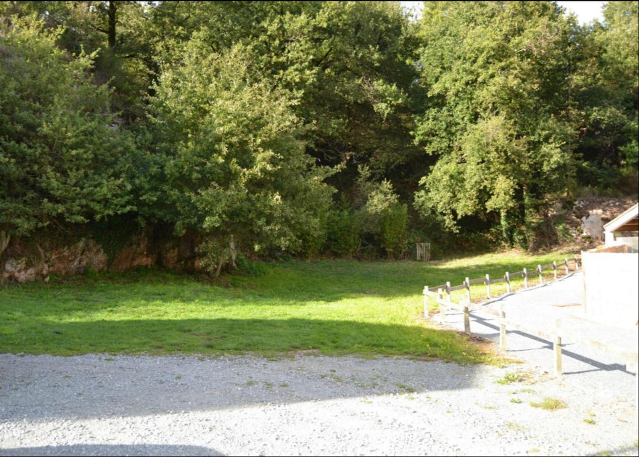 Demeure Du Castel Bed & Breakfast Les Chatelliers-Chateaumur Luaran gambar