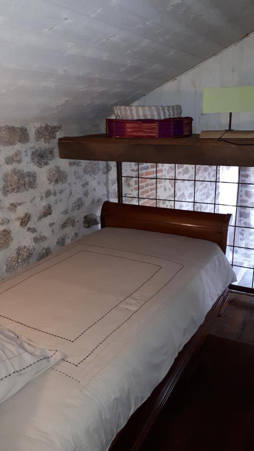 Demeure Du Castel Bed & Breakfast Les Chatelliers-Chateaumur Luaran gambar